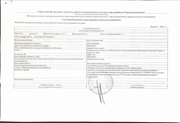 Виды выписок из ЕГРН