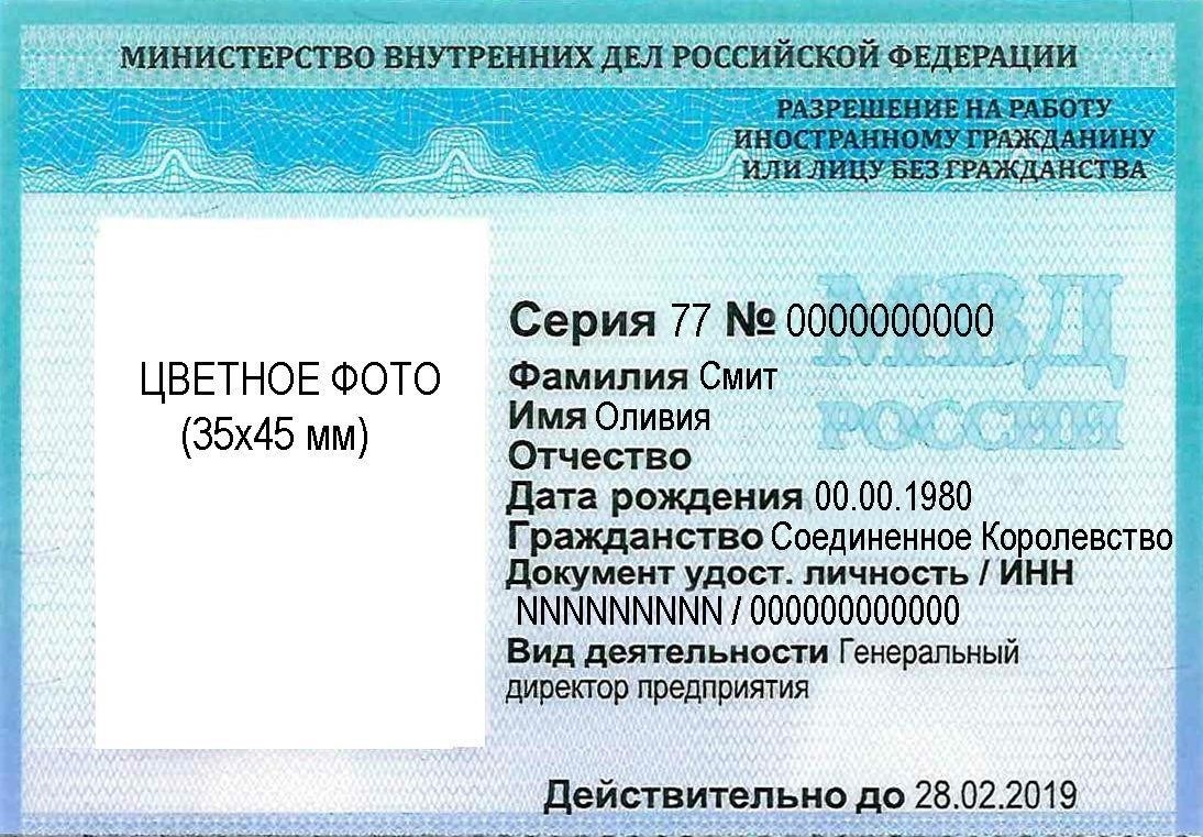 Как получить вид на жительство и разрешение на работу в Дмитровском районе