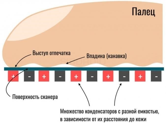 Понимание аутентификации по отпечаткам пальцев: Как работает распознавание отпечатков пальцев