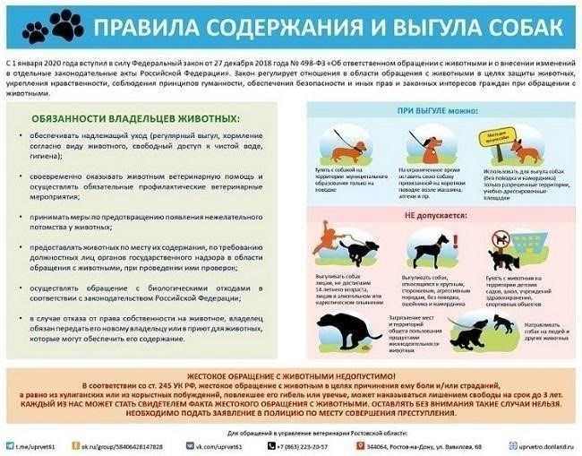Шаги, предпринятые компанией «Россети» для решения проблемы затопленных улиц и поваленных деревьев