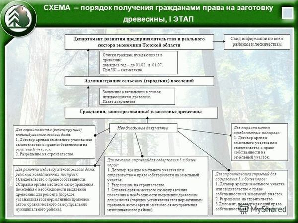 Бесплатная древесина для строительства, ремонта и отопления: реальность или миф?