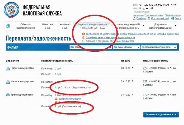 Свяжитесь с налоговой службой для уточнения причин задолженности