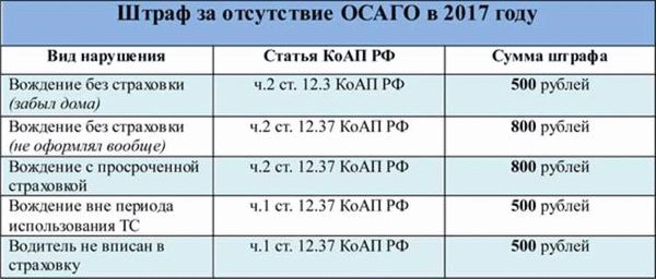 Штрафы за нарушение пожарной безопасности в лесах: будьте ответственными