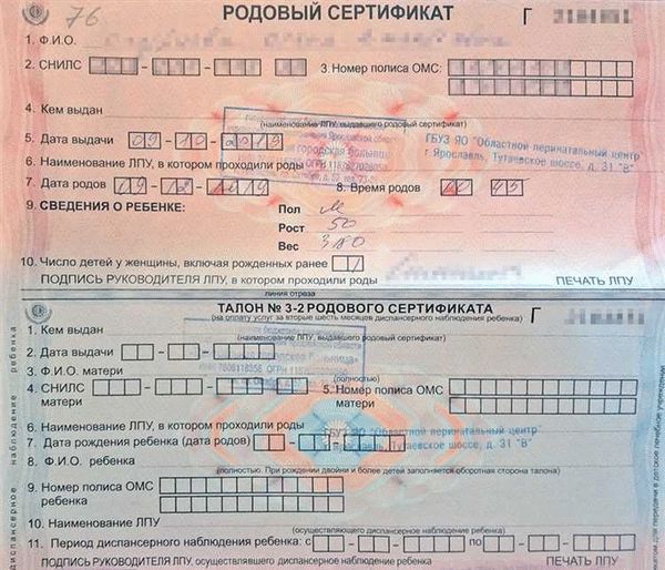 Необходимые документы для регистрации