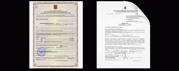 Инстанции, регулирующие вопросы вырубки лесных деревьев