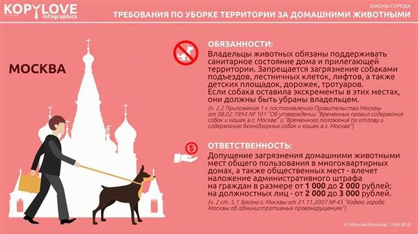 Бизнес на разведении собак: рентабельность и перспективы