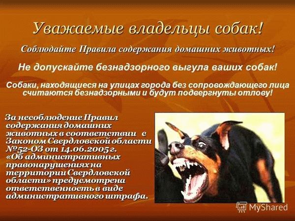 Финансовые вложения на старте бизнеса
