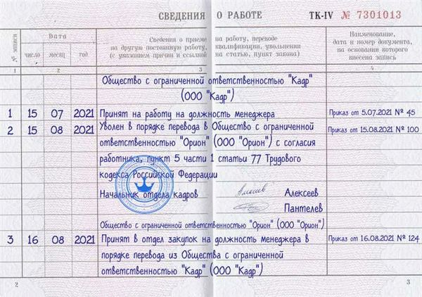 В чем разница между бумажной и электронной трудовой книжкой?