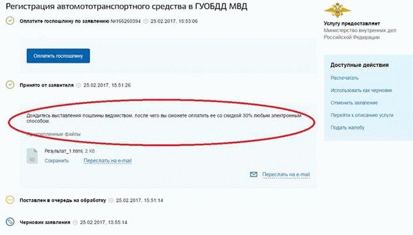 Кто должен оплачивать госпошлину?