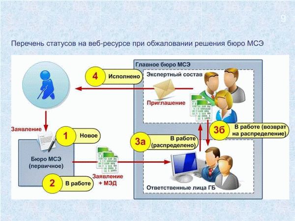 Возможные исходы рассмотрения апелляционной жалобы на решение БМСЭ
