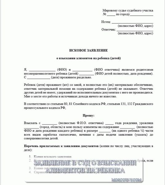 Куда и когда подавать исковое заявление о взыскании алиментов на супруга?