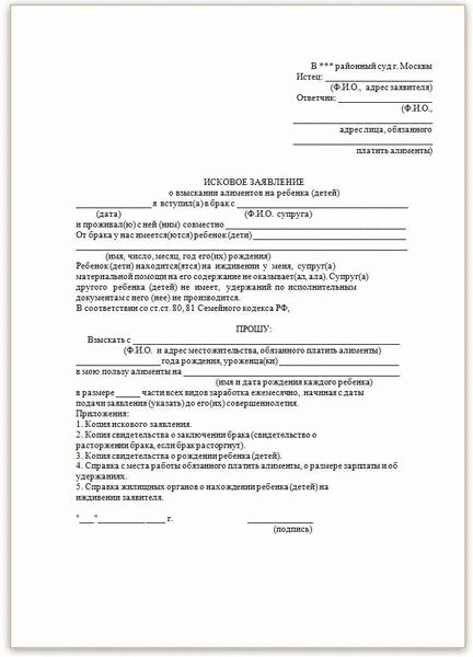 Как составить исковое заявление о взыскании неустойки по алиментам