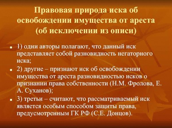 Как составить исковое заявление об освобождении имущества от ареста