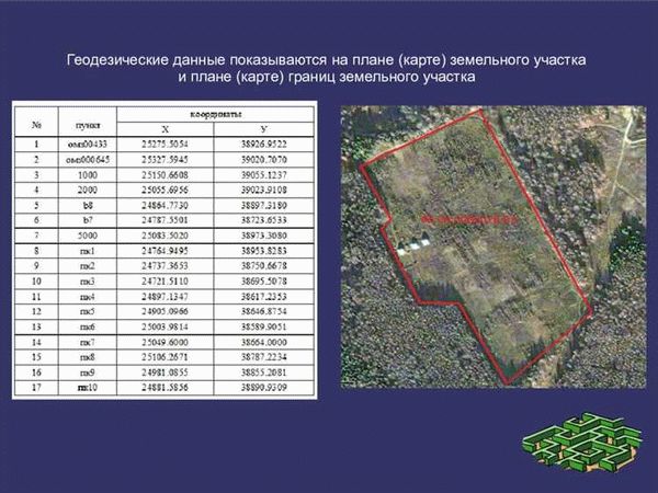 Роль СРО ГКИ в процессе согласования границ земельных участков и защите интересов собственников