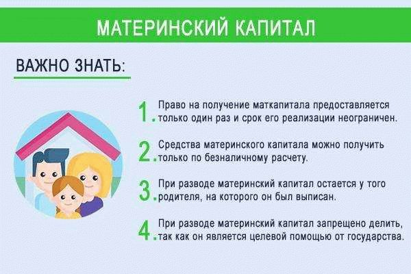 Как суд рассматривает вопрос деления материнского капитала