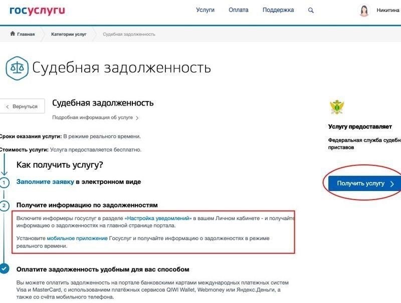 Как найти информацию о долгах в Амурской области с помощью судебных приставов