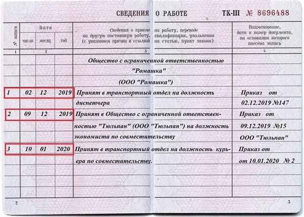 Как оформить увольнение в соответствии с трудовым законодательством