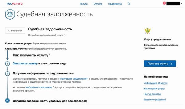 Шаг 1: Выяснение информации о долге и должнике