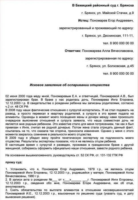Как оспорить иск об установлении отцовства: Юридические соображения и шаги