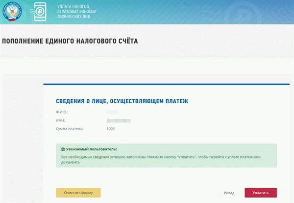 Налоговые ставки и сроки