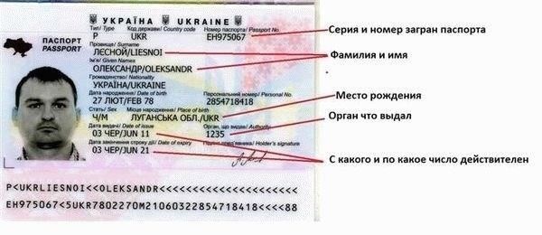 Как получить доступ к государственным базам данных с паспортной информацией