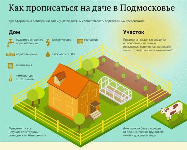Возможности и преимущества участников СНТ