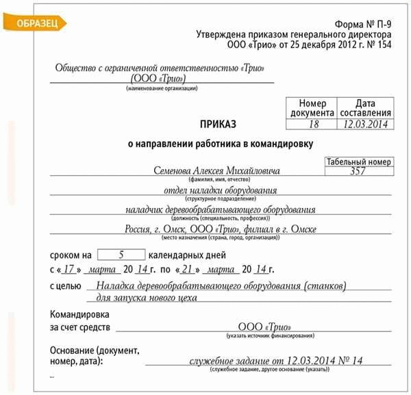 Этапы подготовки приказа