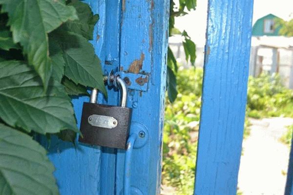 Где найти образец заявления?