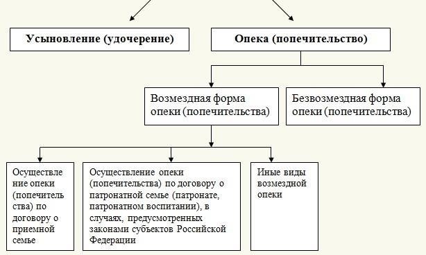 Кто может выступать в качестве опекуна в жилищных вопросах?