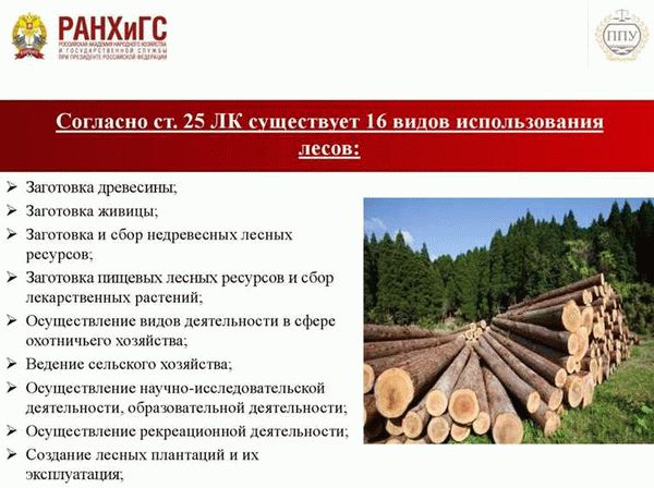 Обучение и курсы по лесозаготовке и лесной промышленности