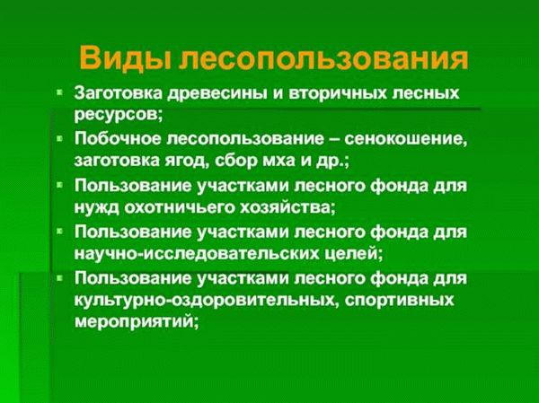 Виды лесопользования и их значение