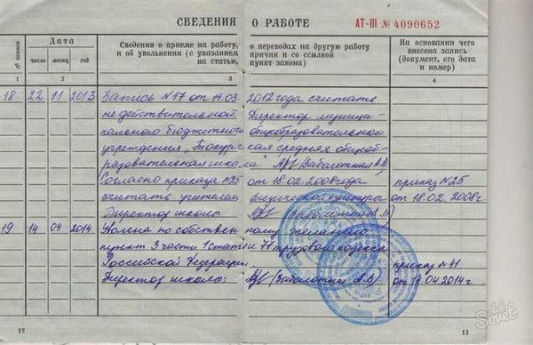 Разъясняем, что значит «по виновной статье»