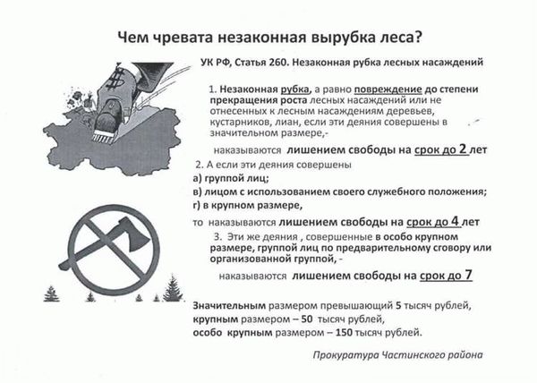 Защита лесов: куда обращаться