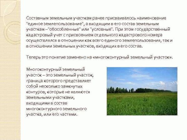 Межевой план многоконтурного надела