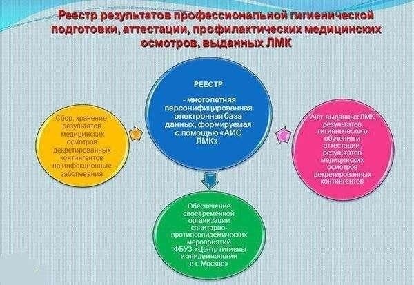 Обеспечение гигиенической подготовки персонала образовательных учреждений: Процедуры и лучшие практики