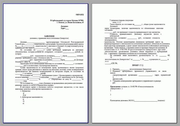 Отчет финансового управляющего при банкротстве гражданина