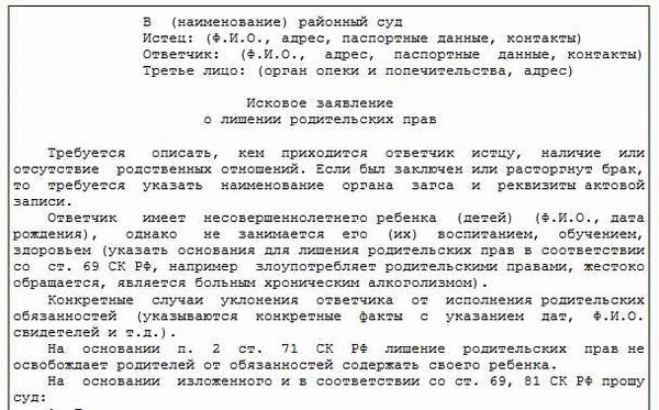 Исковое заявление и возможные сложности