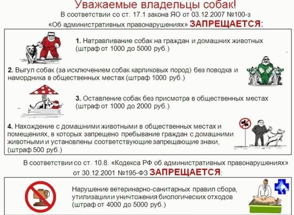 Ответственность за нарушение закона