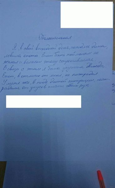 Состав объяснительной при травме