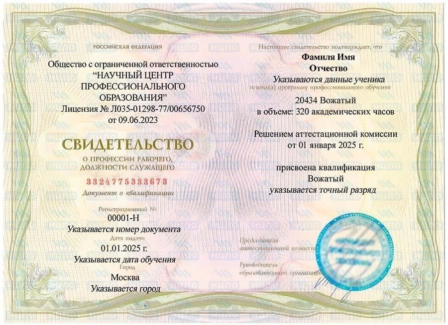 Официальная документация и подтверждение стажа пионерской вожатой