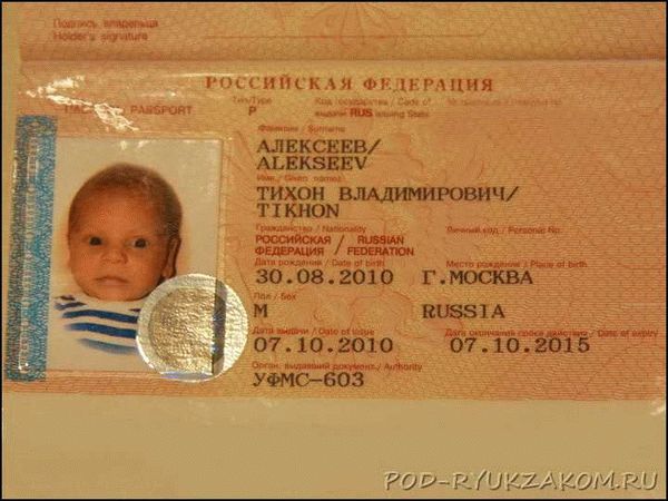 Необходимые документы для оформления