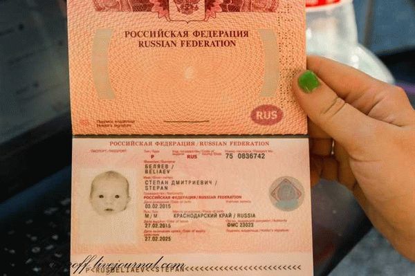 Оплата государственной пошлины