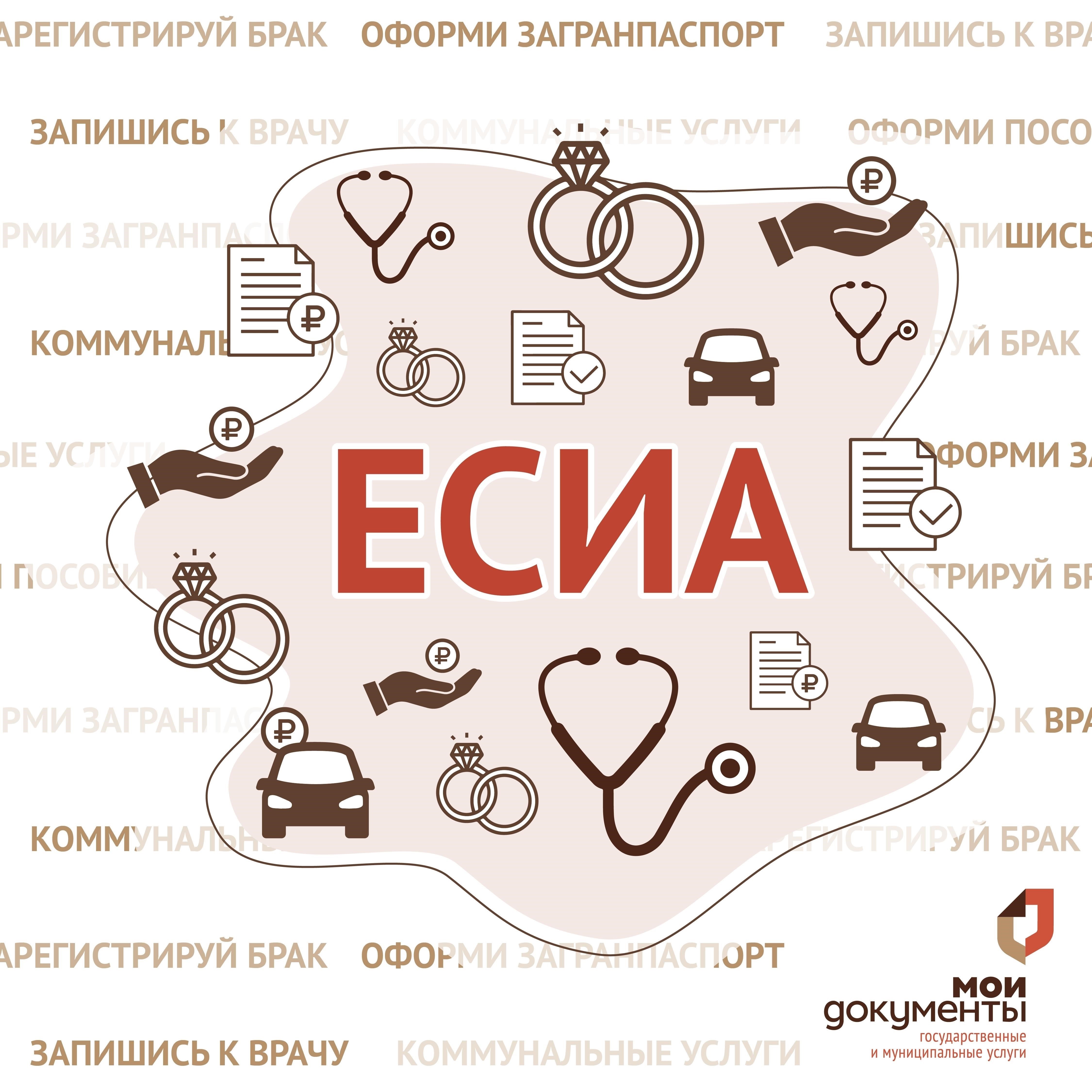 Основные услуги, предоставляемые ФСС Тольятти местным жителям