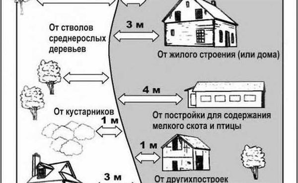 Советы профессионалов