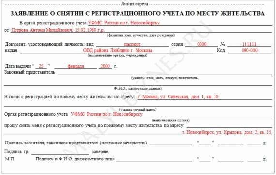 Сроки рассмотрения заявления