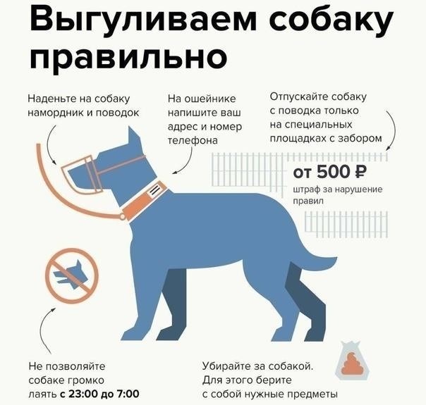 Понимание последних изменений в правилах защиты животных