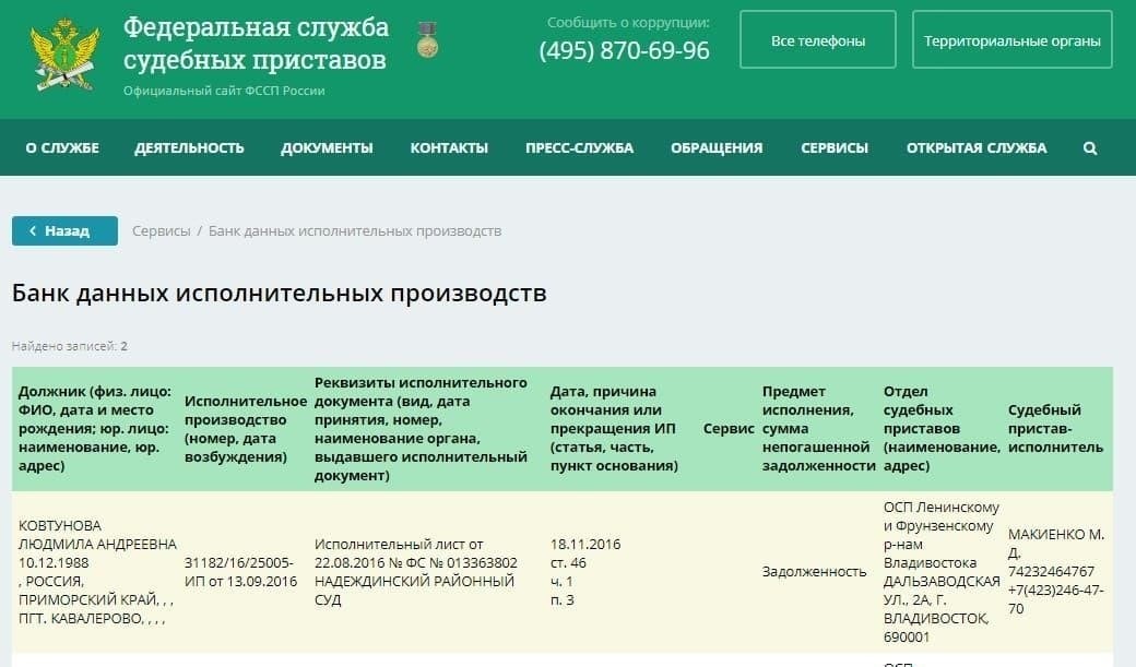 Понимание типов данных, хранящихся в банке данных исполнительных производств