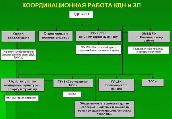 Порядок подачи апелляций по решениям ЛОГКУ Центр социальной защиты населения