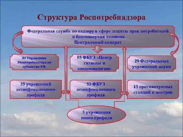 Организация работы по проверкам
