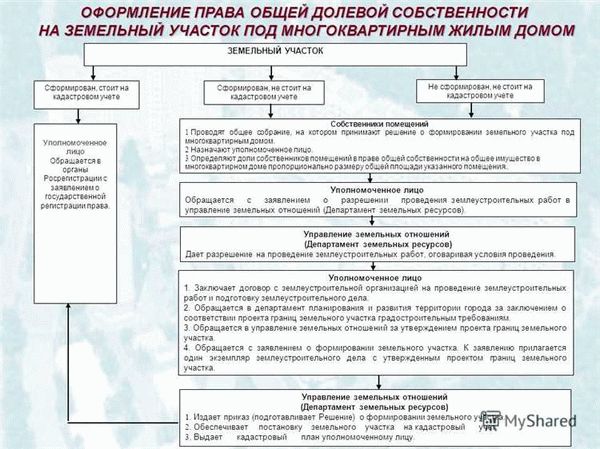 Как получить согласие соседей на приватизацию земли